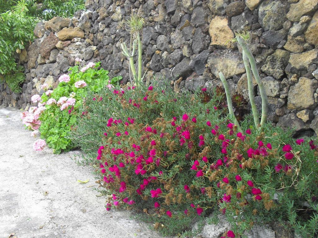 Casa Rural Abuelo Pancho Las Casas  Eksteriør bilde